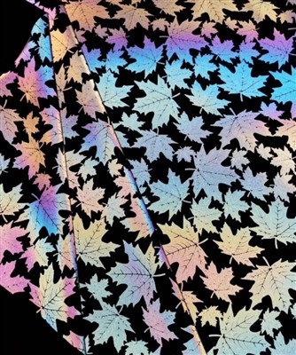 Різниця між люмінесценцією, флуоресценцією та відображенням